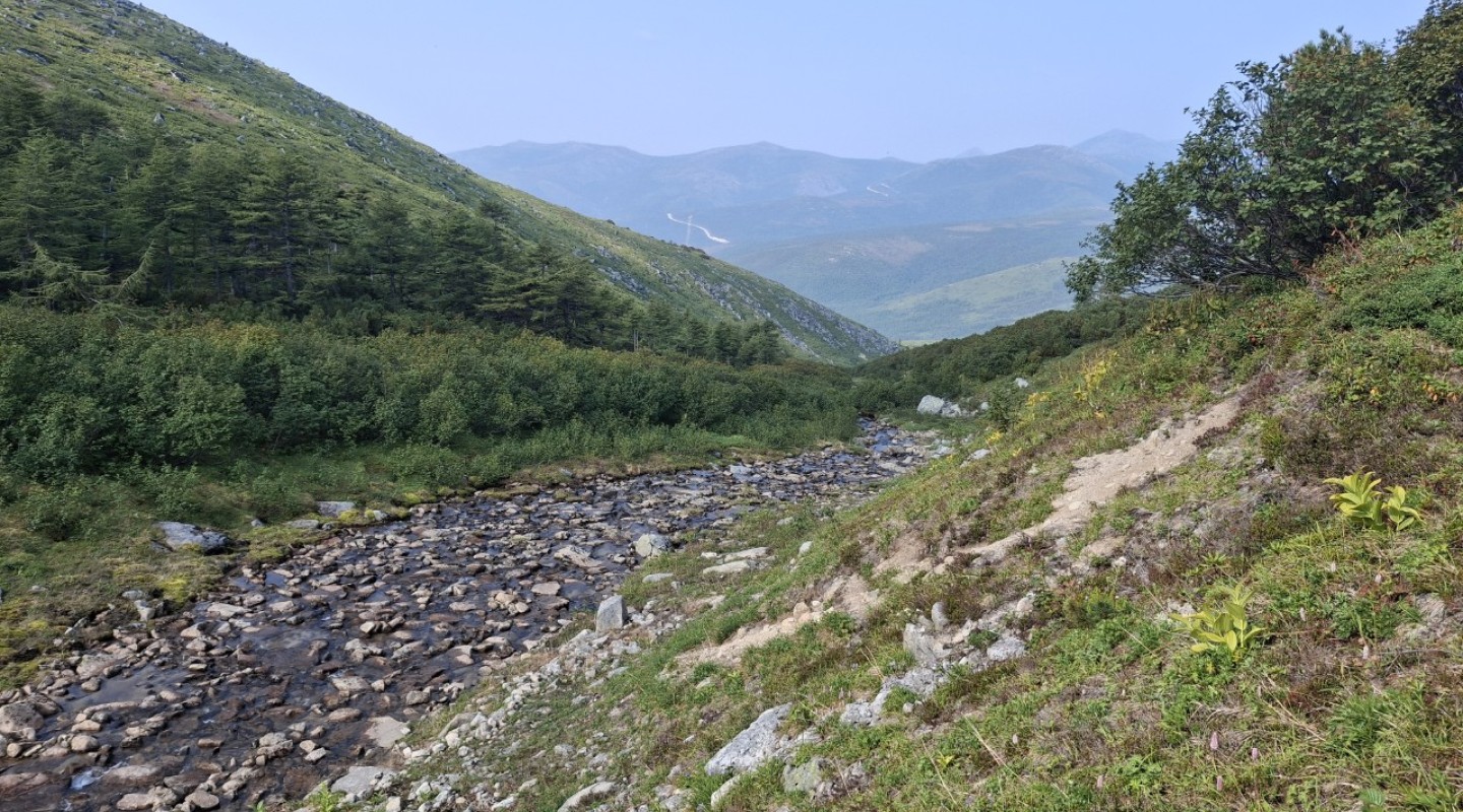 Нерюнгринский район.  Республика Саха(Якутия).